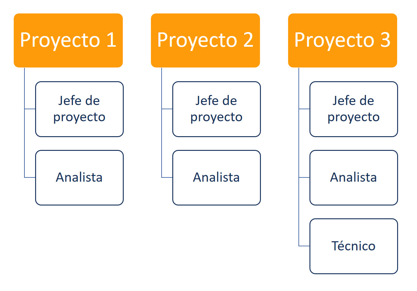 Estructura Organizacional De Un Proyecto De Software